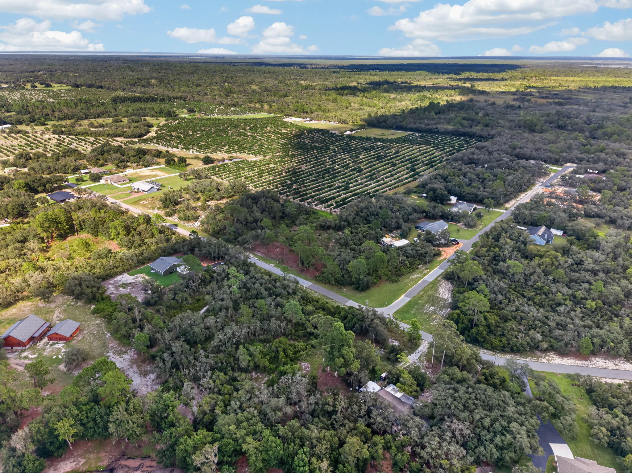 Wide aerial of the surrounding area, groves and homes